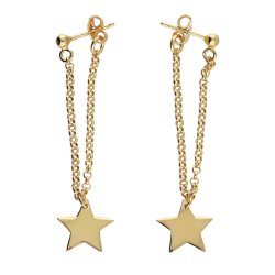 Gold-Plated Star Drop Earrings